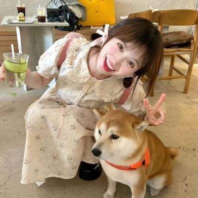 不爱的那些年